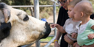 petting_zoo